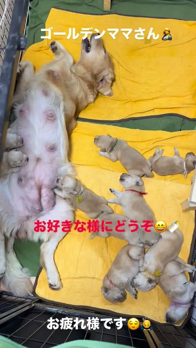 　　　母は強し😌　　頭が下がります🙇‍♂️