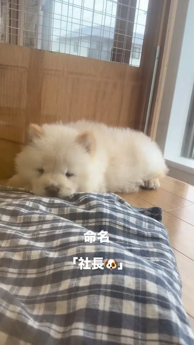 スタッフの皆さんが名前を付けていました😄