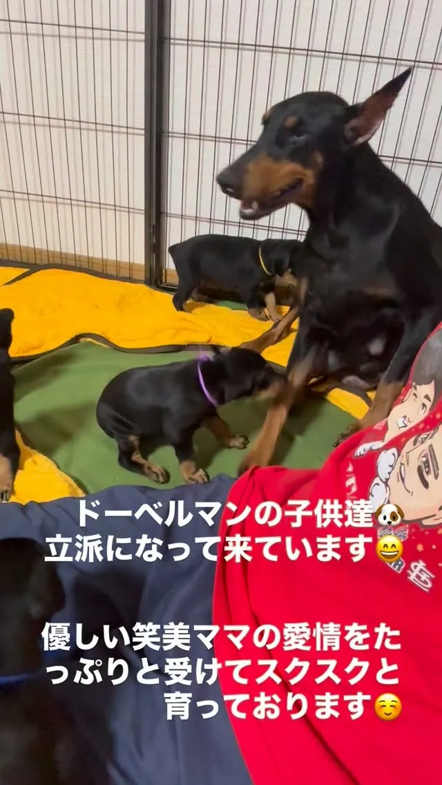 　今日も、穏やかで、健やかな一日が終わろうとしています😌