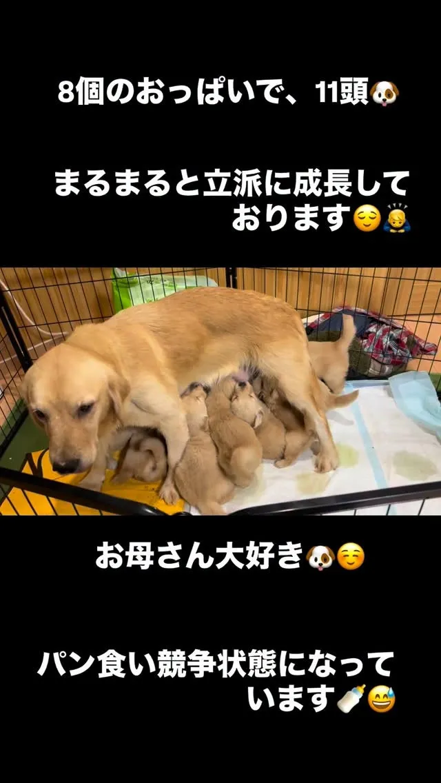 　おはようございます🐶😊