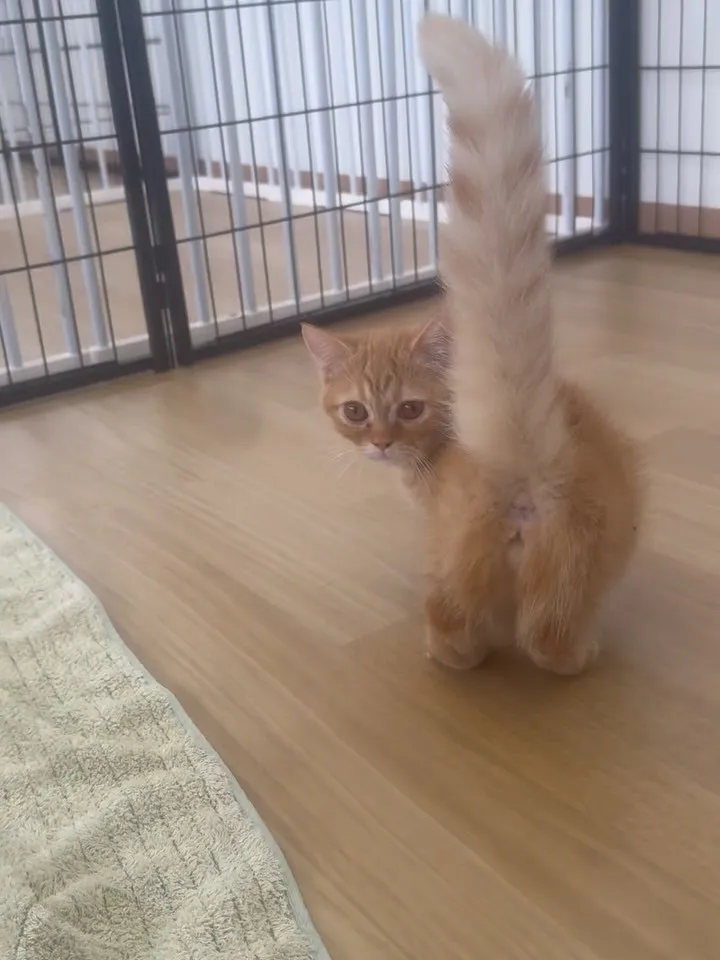 お昼のひととき😸