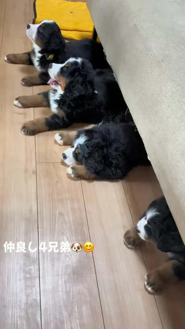おはようございます。