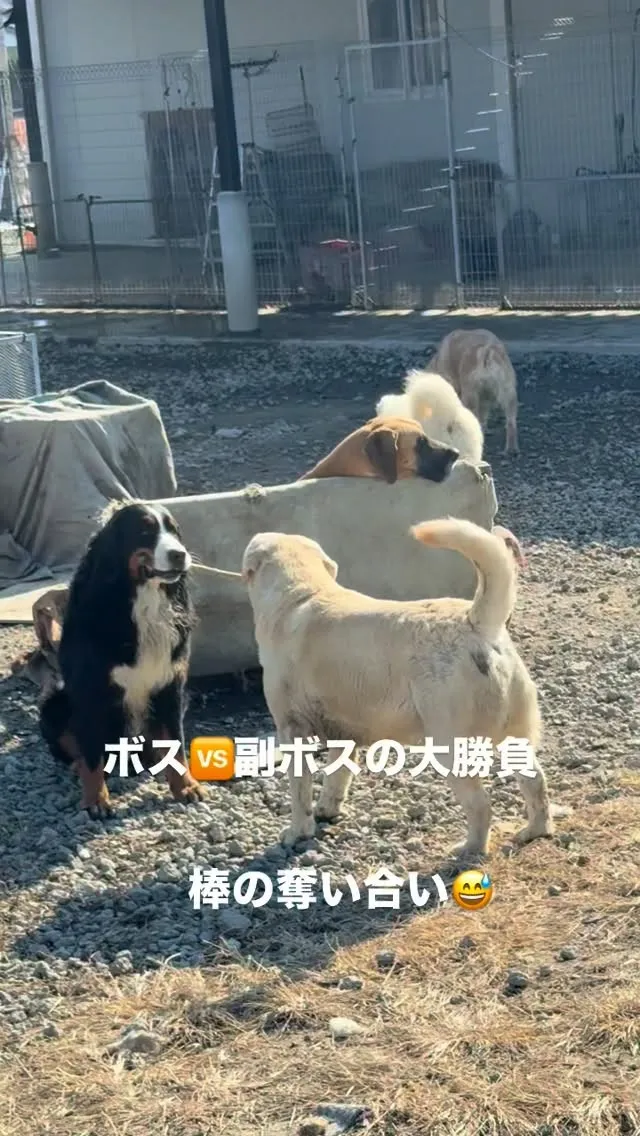 おはようございます。