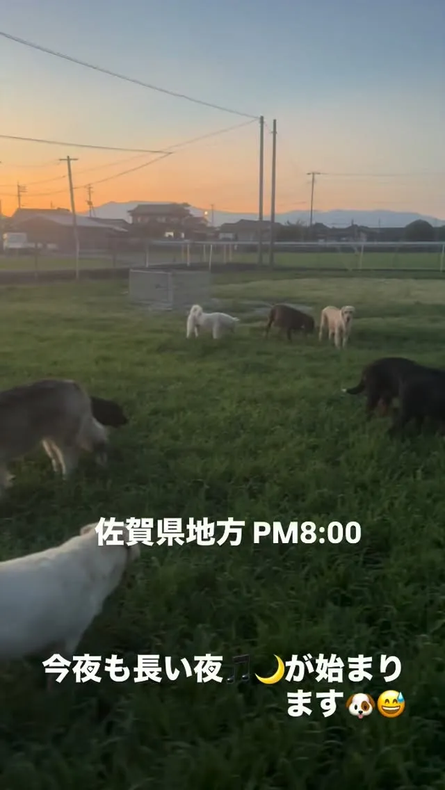 今日も一日暑い中、お疲れ様でした😌