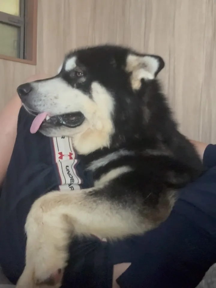 おはようございます🐶
