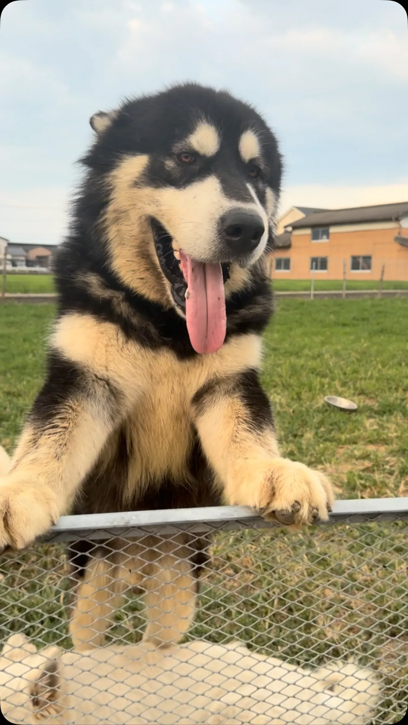 今日も一日、お疲れ様でした😌🐶🏠#