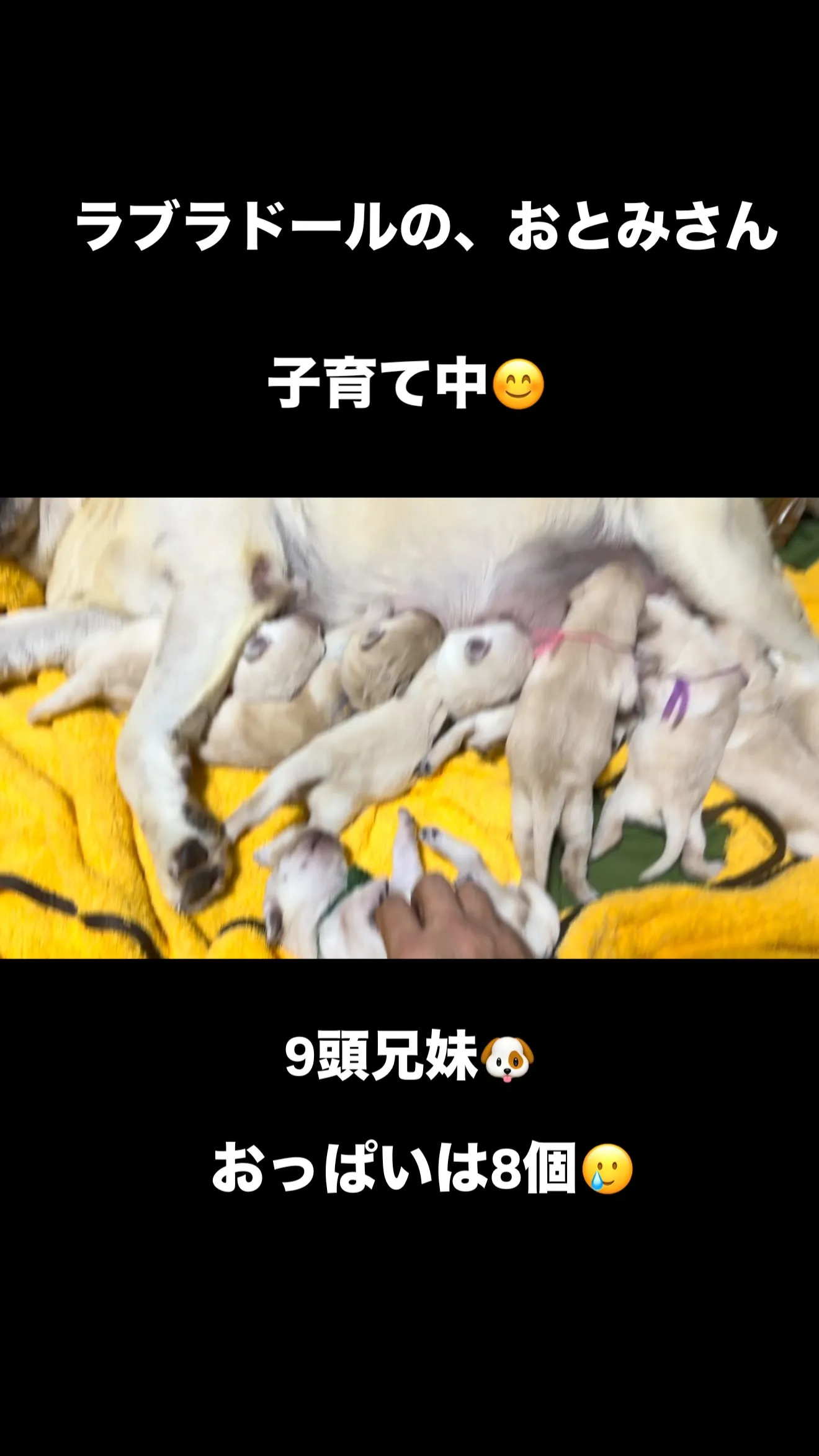 おはようございます。